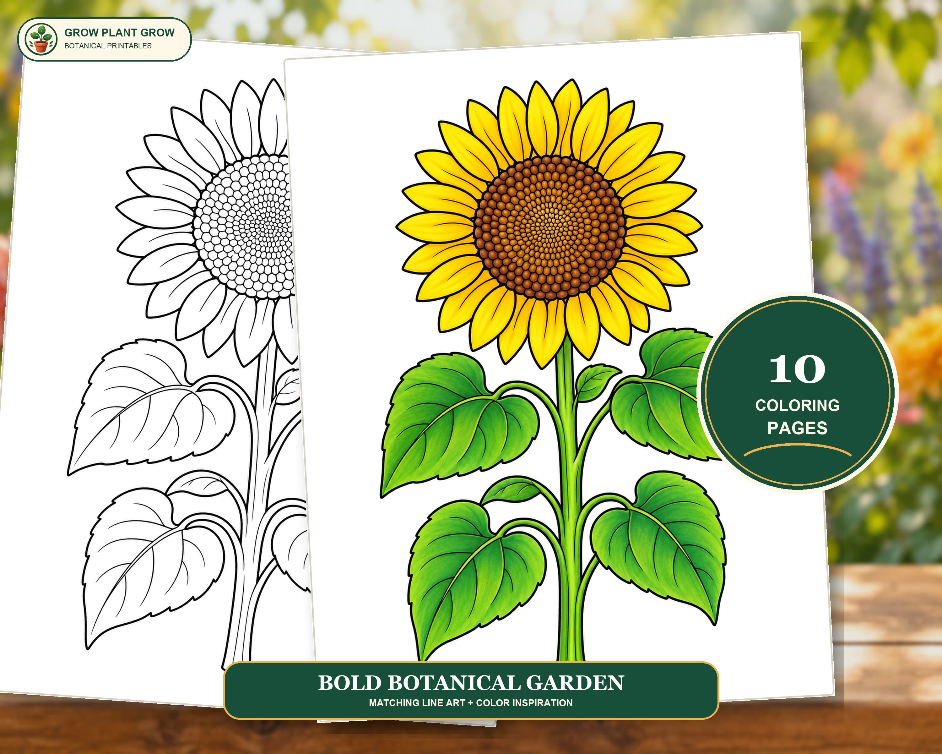 Bold Botanical Garden Coloring Pages: 10 Printable Flower Designs